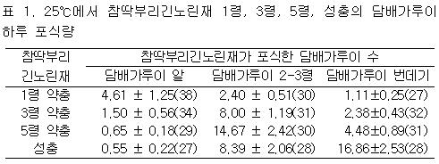 참딱부리긴노린재