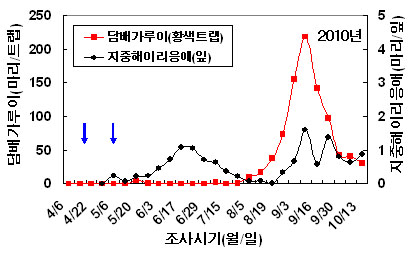 그림 2. 지중해이리응애 방사에 의한 담배가루이 방제효과(국립농업과학원, 2010).