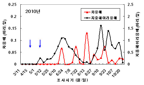 그림 4. 지중해이리응애에 의한 차응애 방제 효과(국립농업과학원, 2010).