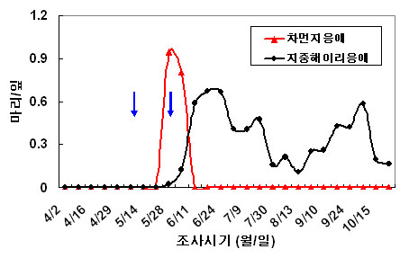 그림 5. 지중해이리응애에 의한 차먼지응애 방제 효과(국립농업과학원, 2009).